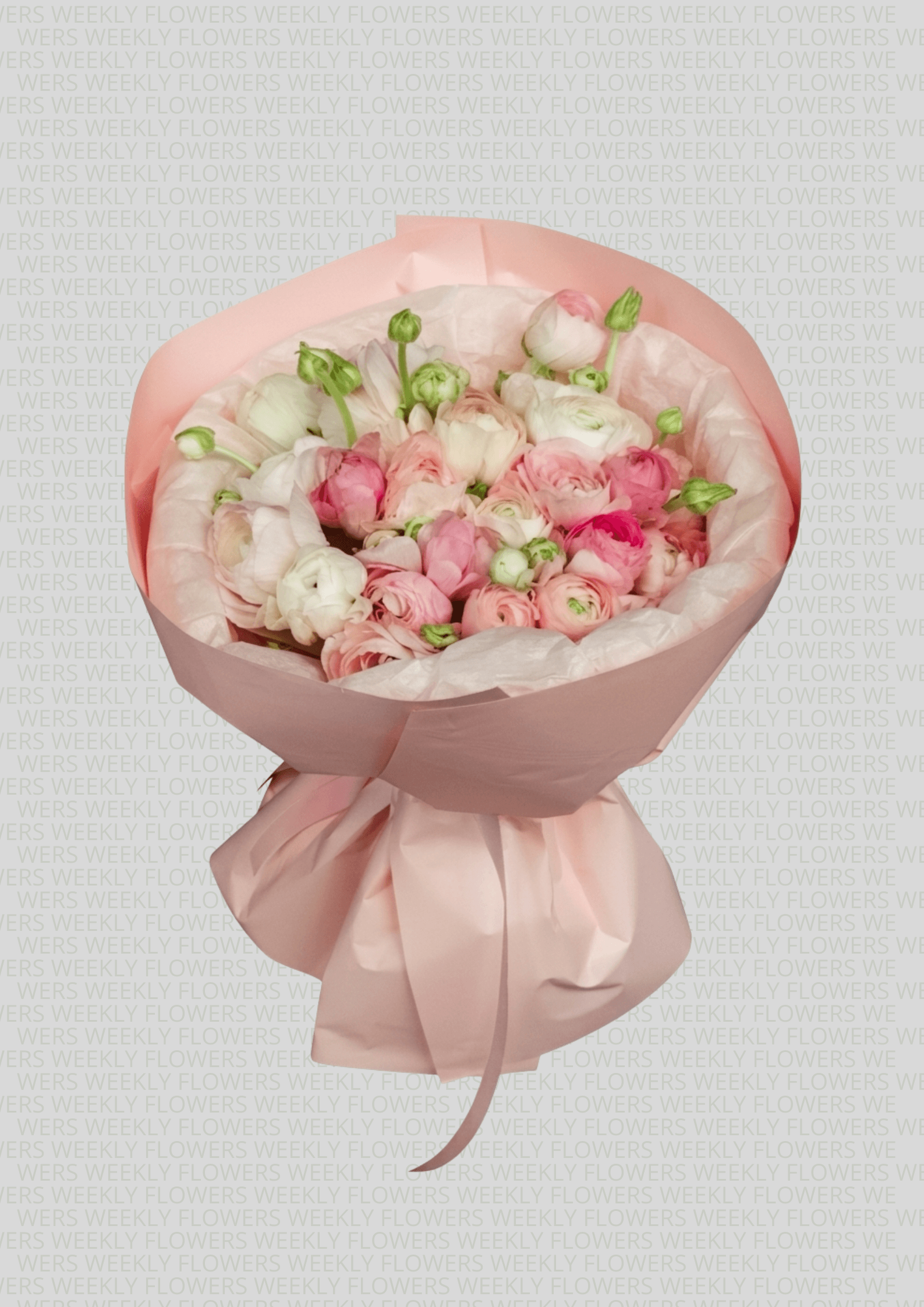 ფლამინგო - Image 1