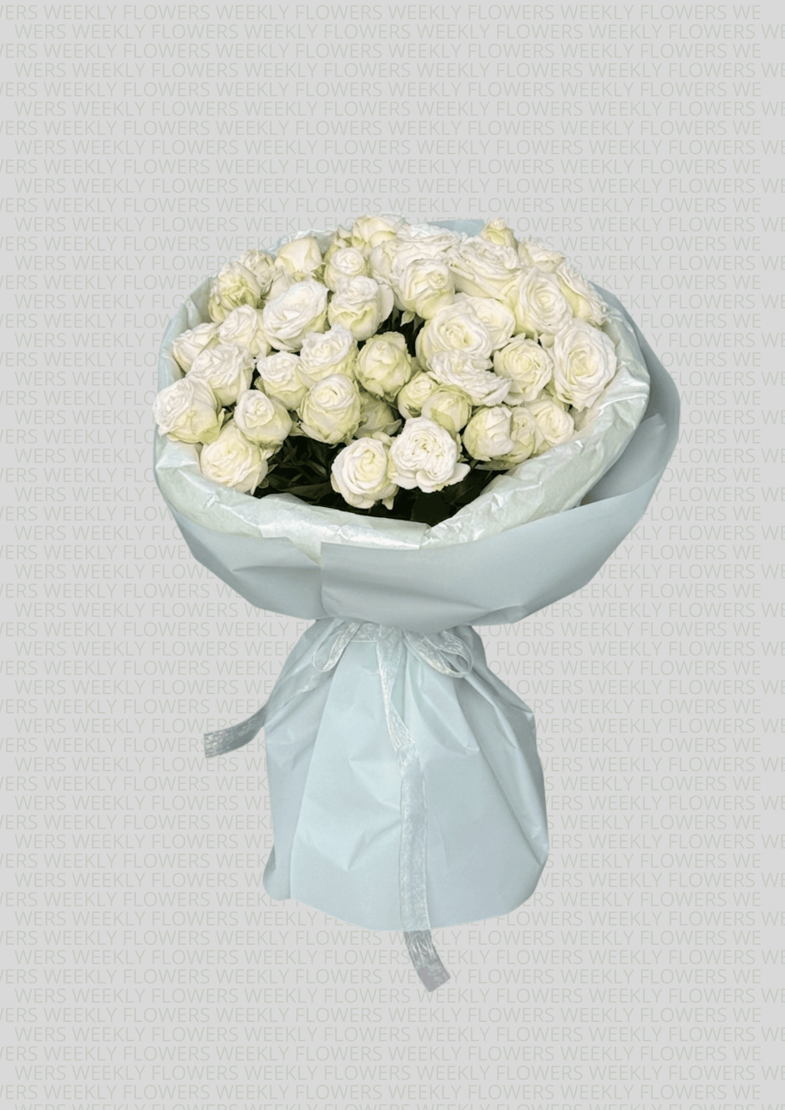 White Symphony - Image 1