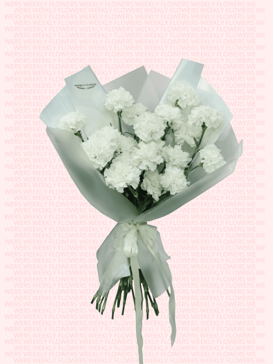 White Dianthus - Image 1